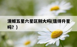 清姬五星六星區別大嗎，值得升星嗎？