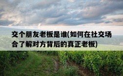 交個朋友老板是誰，如何在社交場合了解對方背后的真正老板