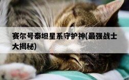 賽爾號泰坦星系守護神，最強戰士大揭秘