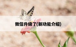 微信升級了，新功能介紹