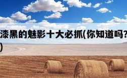 漆黑的魅影十大必抓，你知道嗎？