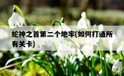 蛇神之首第二個地牢，如何打通所有關卡