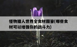 怪物獵人世界全食材圖鑒，哪些食材可以增強你的戰斗力