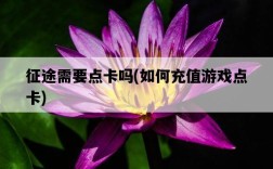 征途需要點卡嗎，如何充值游戲點卡