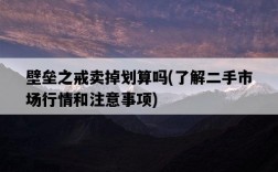 壁壘之戒賣掉劃算嗎，了解二手市場行情和注意事項