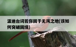 溫迪臺詞若你困于無風之地,該如何突破困境