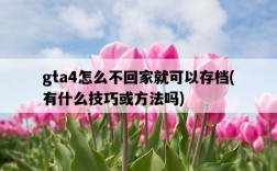 gta4怎么不回家就可以存檔，有什么技巧或方法嗎