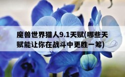 魔獸世界獵人9.1天賦，哪些天賦能讓你在戰斗中更勝一籌