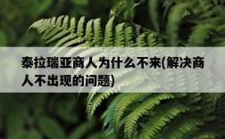 泰拉瑞亞商人為什么不來，解決商人不出現的問題