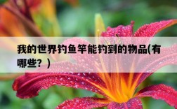 我的世界釣魚竿能釣到的物品，有哪些？