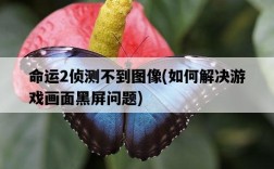 命運2偵測不到圖像，如何解決游戲畫面黑屏問題