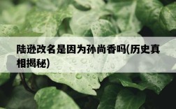 陸遜改名是因為孫尚香嗎，歷史真相揭秘