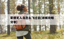 蒙德無人島怎么飛過去，詳細攻略分享
