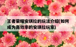 王者榮耀安琪拉的玩法介紹，如何成為高效率的安琪拉玩家