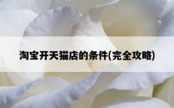 淘寶開天貓店的條件，完全攻略