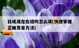 日成晟左右結構怎么讀，快速掌握正確發音方法