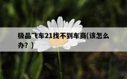 極品飛車21找不到車商，該怎么辦？