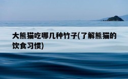 大熊貓吃哪幾種竹子，了解熊貓的飲食習慣