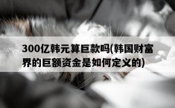 300億韓元算巨款嗎，韓國財富界的巨額資金是如何定義的