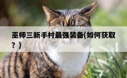 巫師三新手村最強裝備，如何獲取？