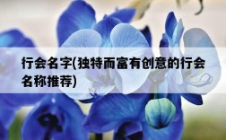 行會名字，獨特而富有創意的行會名稱推薦
