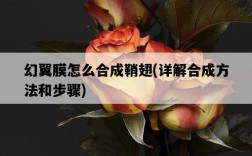 幻翼膜怎么合成鞘翅，詳解合成方法和步驟