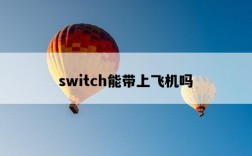 switch能帶上飛機嗎