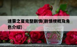 迷霧之夏完整劇情，劇情梗概及角色介紹