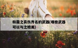 和霜之哀傷齊名的武器，哪些武器可以與之媲美