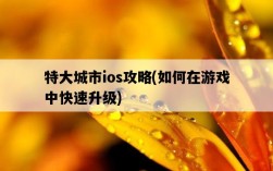 特大城市ios攻略，如何在游戲中快速升級