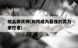 絕品御靈師，如何成為最強的靈力掌控者