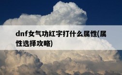 dnf女氣功紅字打什么屬性，屬性選擇攻略