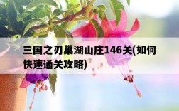 三國之刃巢湖山莊146關，如何快速通關攻略