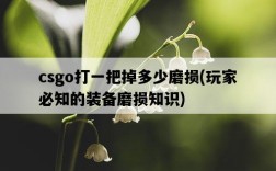 csgo打一把掉多少磨損，玩家必知的裝備磨損知識