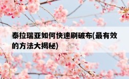 泰拉瑞亞如何快速刷破布，最有效的方法大揭秘