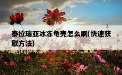 泰拉瑞亞冰凍龜殼怎么刷，快速獲取方法
