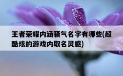 王者榮耀內涵騷氣名字有哪些，超酷炫的游戲內取名靈感