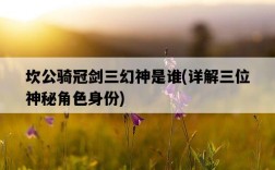 坎公騎冠劍三幻神是誰，詳解三位神秘角色身份
