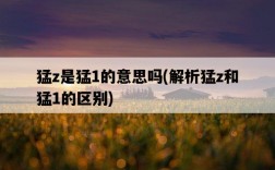 猛z是猛1的意思嗎，解析猛z和猛1的區別