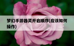 夢幻手游器靈開啟順序，應該如何操作
