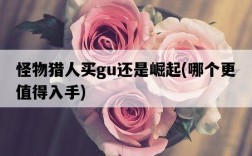 怪物獵人買gu還是崛起，哪個更值得入手