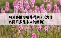 阿貝多值得培養嗎2023，為什么阿貝多是未來的趨勢