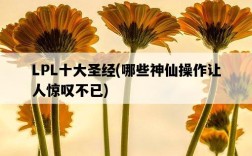 LPL十大圣經，哪些神仙操作讓人驚嘆不已