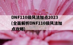 DNF110級風法加點2023，全面解析DNF110級風法加點攻略