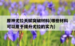 原神尤拉天賦突破材料，哪些材料可以用于提升尤拉的實力