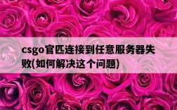 csgo官匹連接到任意服務器失敗，如何解決這個問題