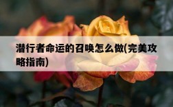 潛行者命運的召喚怎么做，完美攻略指南