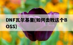 DNF瓦爾基里，如何擊敗這個BOSS