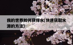 我的世界如何獲得水，快速獲取水源的方法