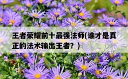 王者榮耀前十最強法師，誰才是真正的法術輸出王者？